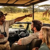 Tanzania safari guide overview with wildlife and safari jeep in Tanzania national parks