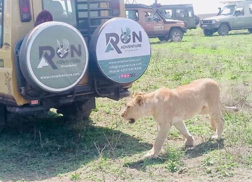 6-Day Lake Natron & Northern Tanzania Adventure