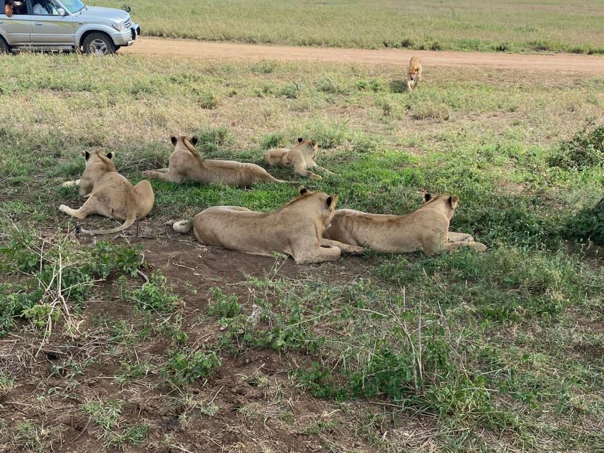 Serengeti-usambara-mountains