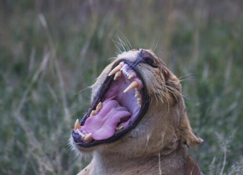 13 Days Legends of the North & Usambara Highlands