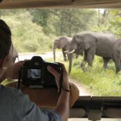 Mistakes to avoid on safari in Tanzania – tourists on a game drive watching wildlife in Serengeti National Park