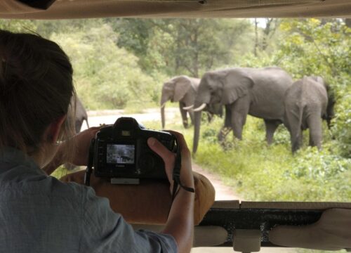 Top 10 Safari Mistakes to Avoid in Tanzania
