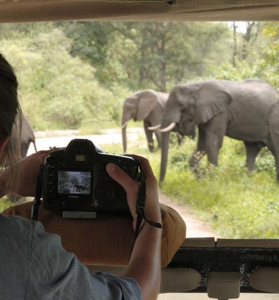 Top 10 Safari Mistakes to Avoid in Tanzania