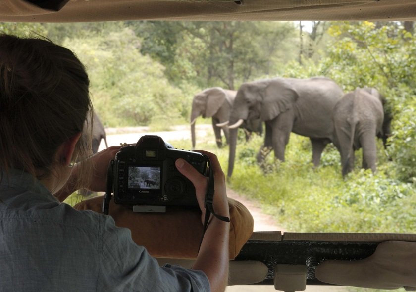 Mistakes to avoid on safari in Tanzania – tourists on a game drive watching wildlife in Serengeti National Park