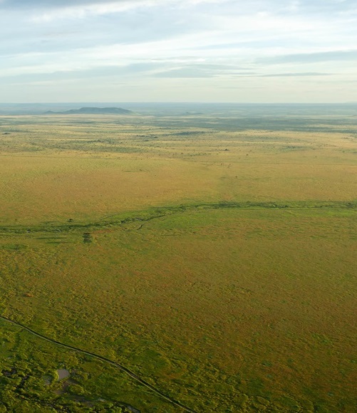 Ndutu