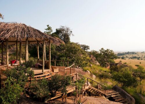 SERENGETI SAFARI