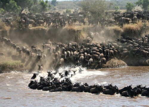 09-Day Serengeti Migration & River Crossing