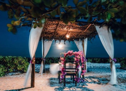 5-Day Luxury Honeymoon safari.
