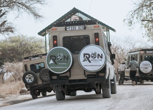 3 Day Tarangire Ngorongoro and lake manyara