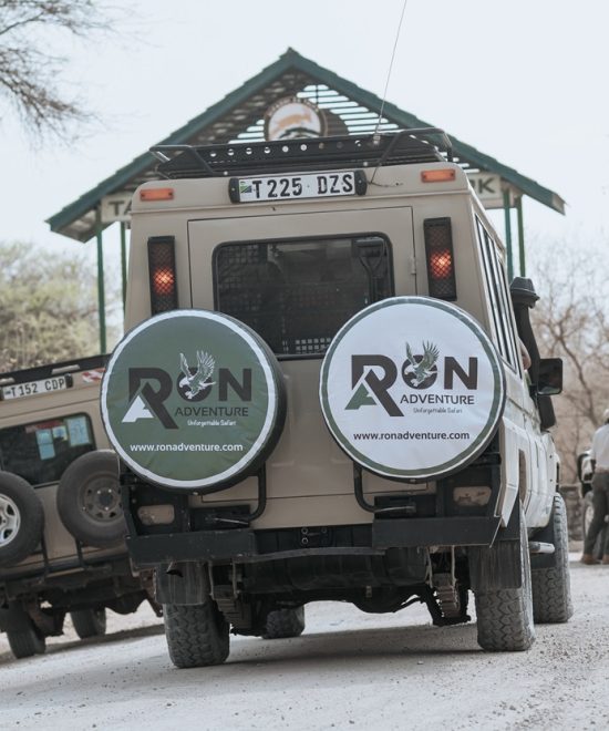 3 Day Tarangire Ngorongoro and lake manyara