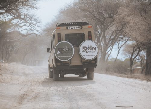 Why Tanzania Is the Best African Safari Destination