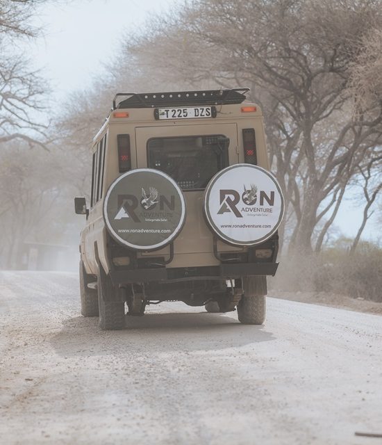 Why Tanzania Is the Best African Safari Destination