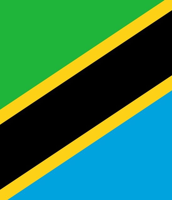Is Tanzania Safe to Visit After the 2025 Election?