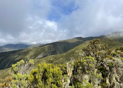 Mount Kilimanjaro Climbing Routes