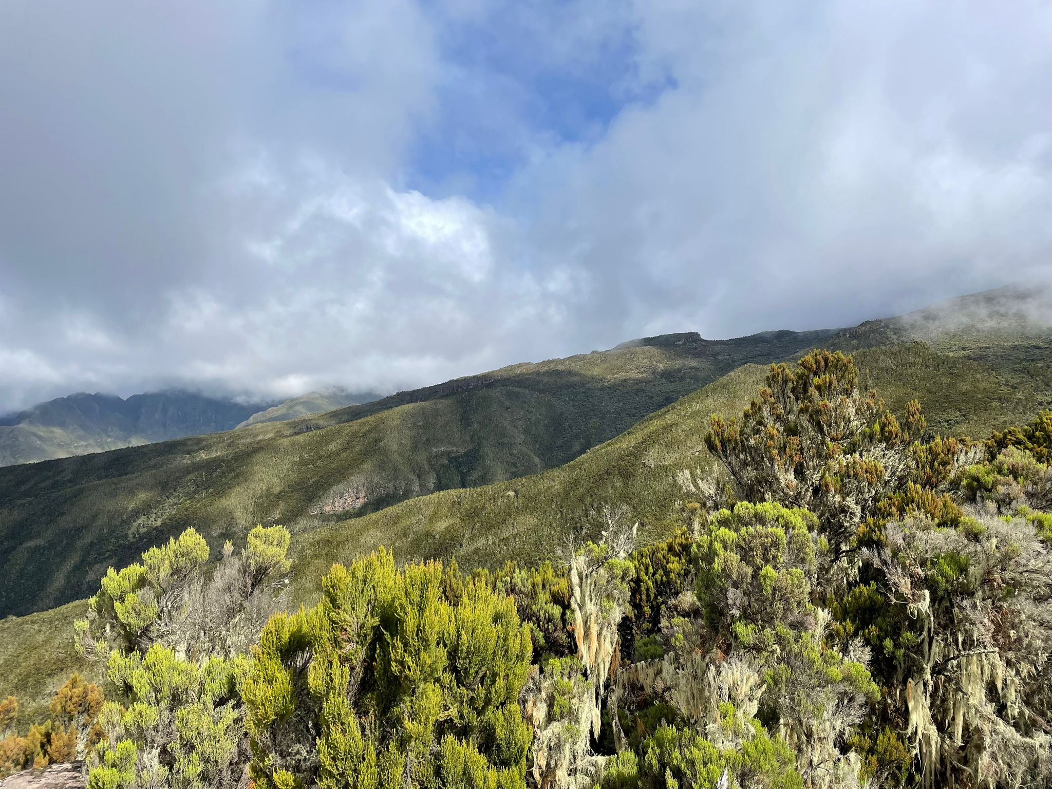 Mount Kilimanjaro trekking route through rainforest zone with porters and climbers