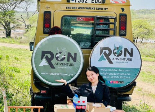 How to Choose the Best Tanzania Safari Company (And Avoid Scams)