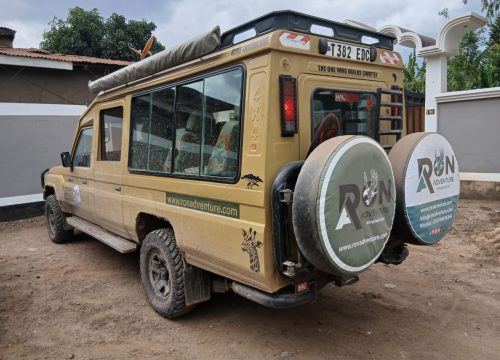 Ron Adventure Tour Company | Tanzania Safari & Kilimanjaro Experts