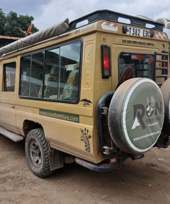 Ron Adventure Tour Company | Tanzania Safari & Kilimanjaro Experts