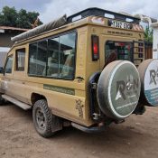 Safari vehicle game drive in Serengeti during peak wildlife season Tanzania