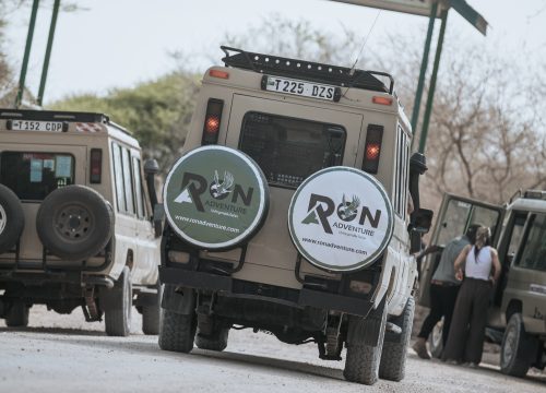 Tarangire National Park Safari