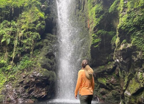 4-Day Tanzania Adventure safaris