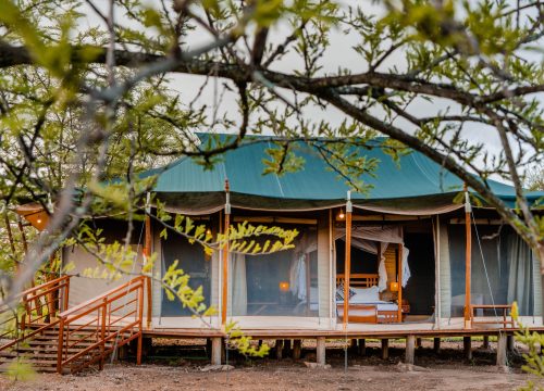 3 day Tanzania safari accommodation