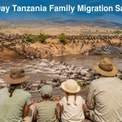 Family watching wildebeest migration in Serengeti during a 5 Day Tanzania Family Migration Safari.