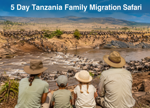 5-Day Tanzania Family Safari | Great Migration Adventure