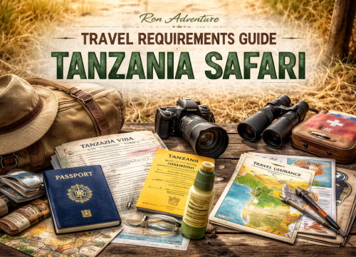 Tanzania Travel Requirements: Complete Guide for Safari & Zanzibar