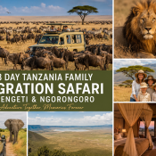 Family enjoying 8 day Tanzania safari witnessing Great Migration in Serengeti and wildlife in Ngorongoro Crater