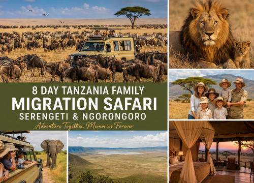 8 Day Tanzania Family Migration Safari