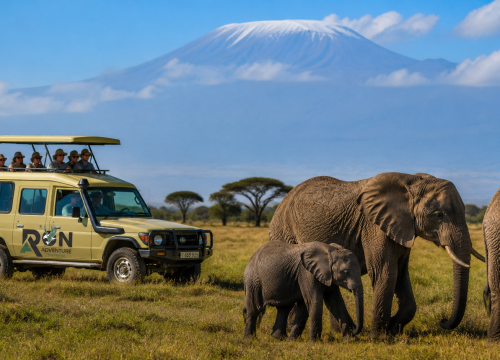 Tanzania Safari in December and January: Best Time for Great Migration and Holiday Travel