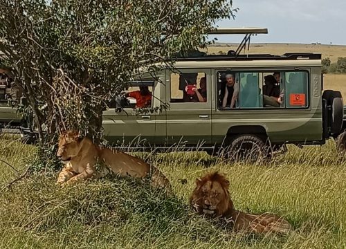 7 Days Kenya and Tanzania Safari