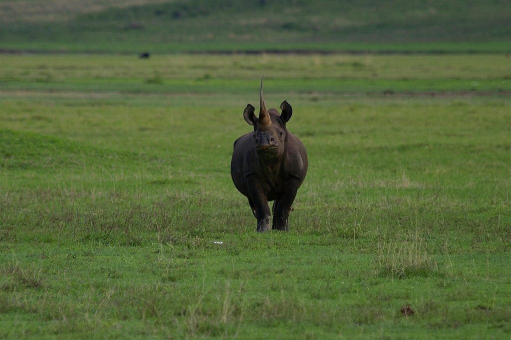 3 Day Joining Safari Tanzania group enjoying a wildlife game drive in Serengeti National Park