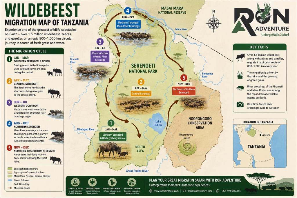 Wildebeest Migration Map of Tanzania showing the Great Migration route through Serengeti National Park, Ndutu, Western Corridor, and Northern Serengeti by month.
