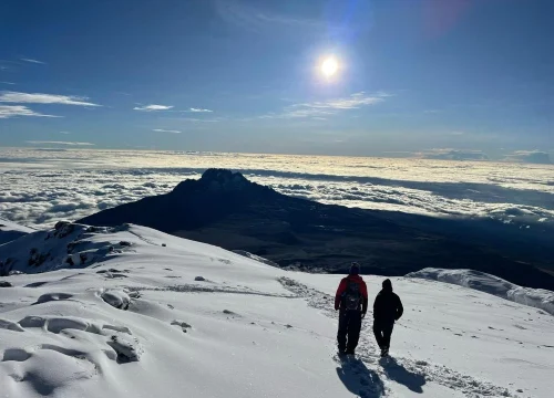 Marangu Route Kilimanjaro: Complete Guide, Itinerary, Cost & Tips