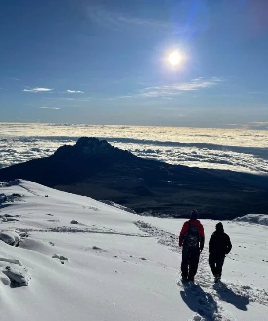 Marangu Route Kilimanjaro: Complete Guide, Itinerary, Cost & Tips