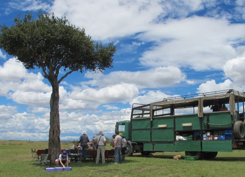8 Days Tanzania Northern Circuit Overland Truck Safari